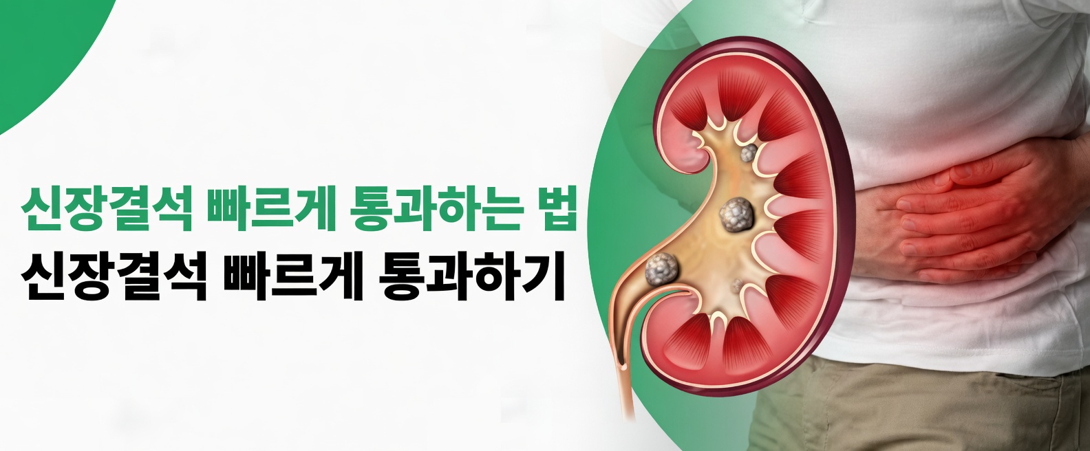 신장을 돕고 매일 자연스럽게 건강한 기능을 촉진하는 7가지 자연적인 방법