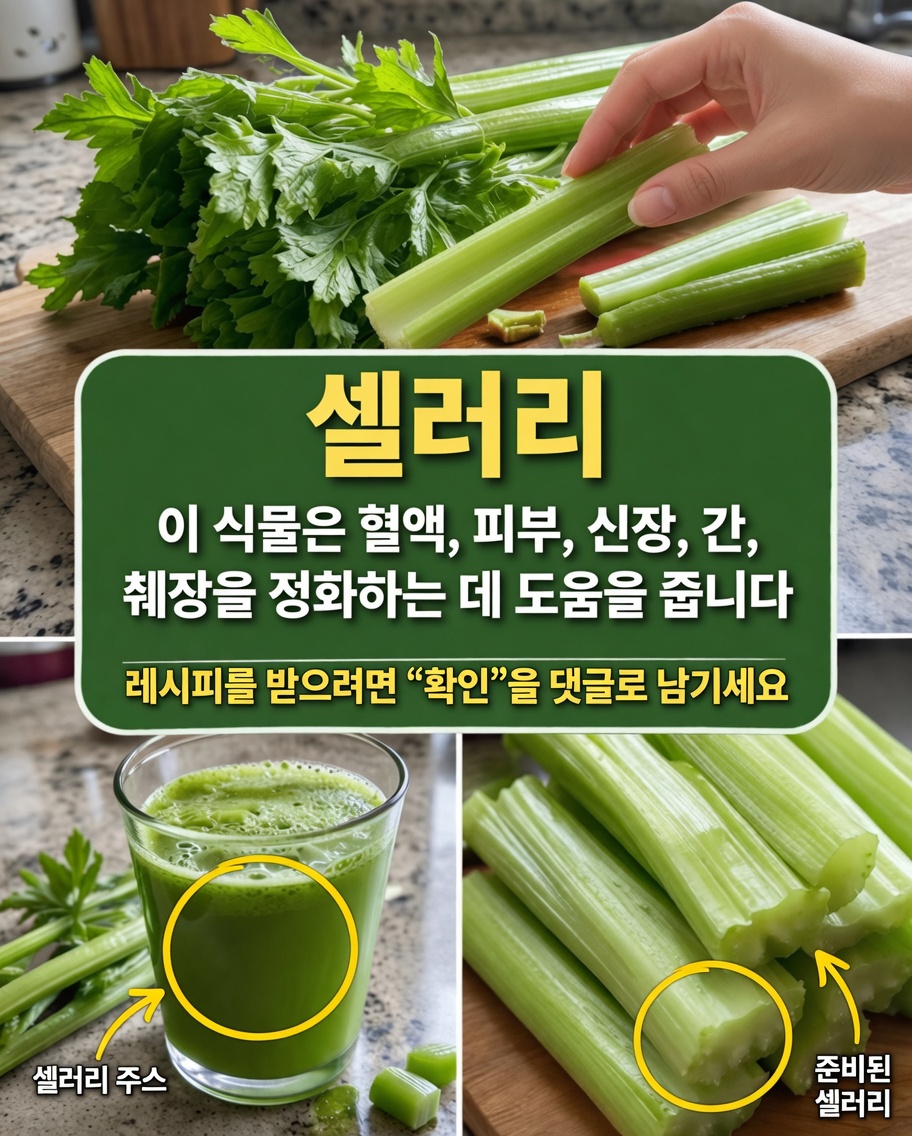 셀러리를 웰니스 루틴에 활용하는 방법: 오늘 바로 시도할 수 있는 쉬운 주스 레시피와 실용적인 팁