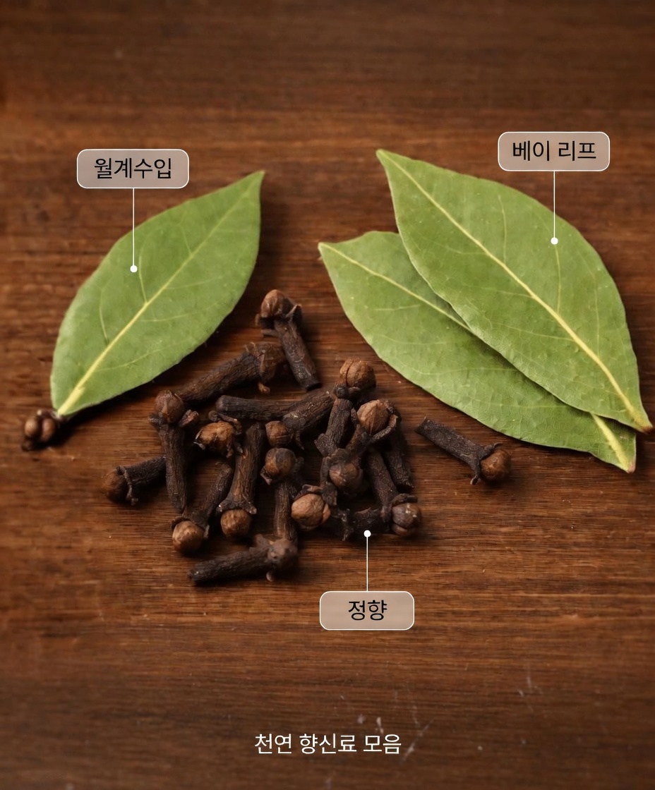 매일의 건강을 위해 이 간단한 월계수잎과 정향 음료를 드셔보셨나요?