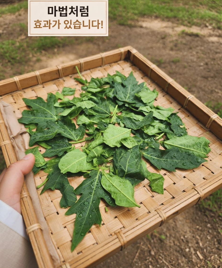 모발을 위한 파파야 잎: 이 인기 있는 천연 요법에 대해 알아야 할 것들