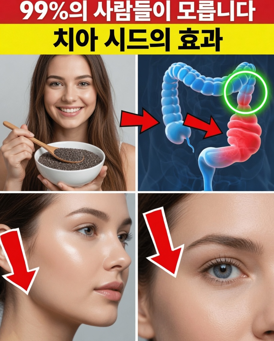 치아씨드를 불릴 때 당신이 저지르는 5가지 치명적인 실수와 올바르게 하는 방법