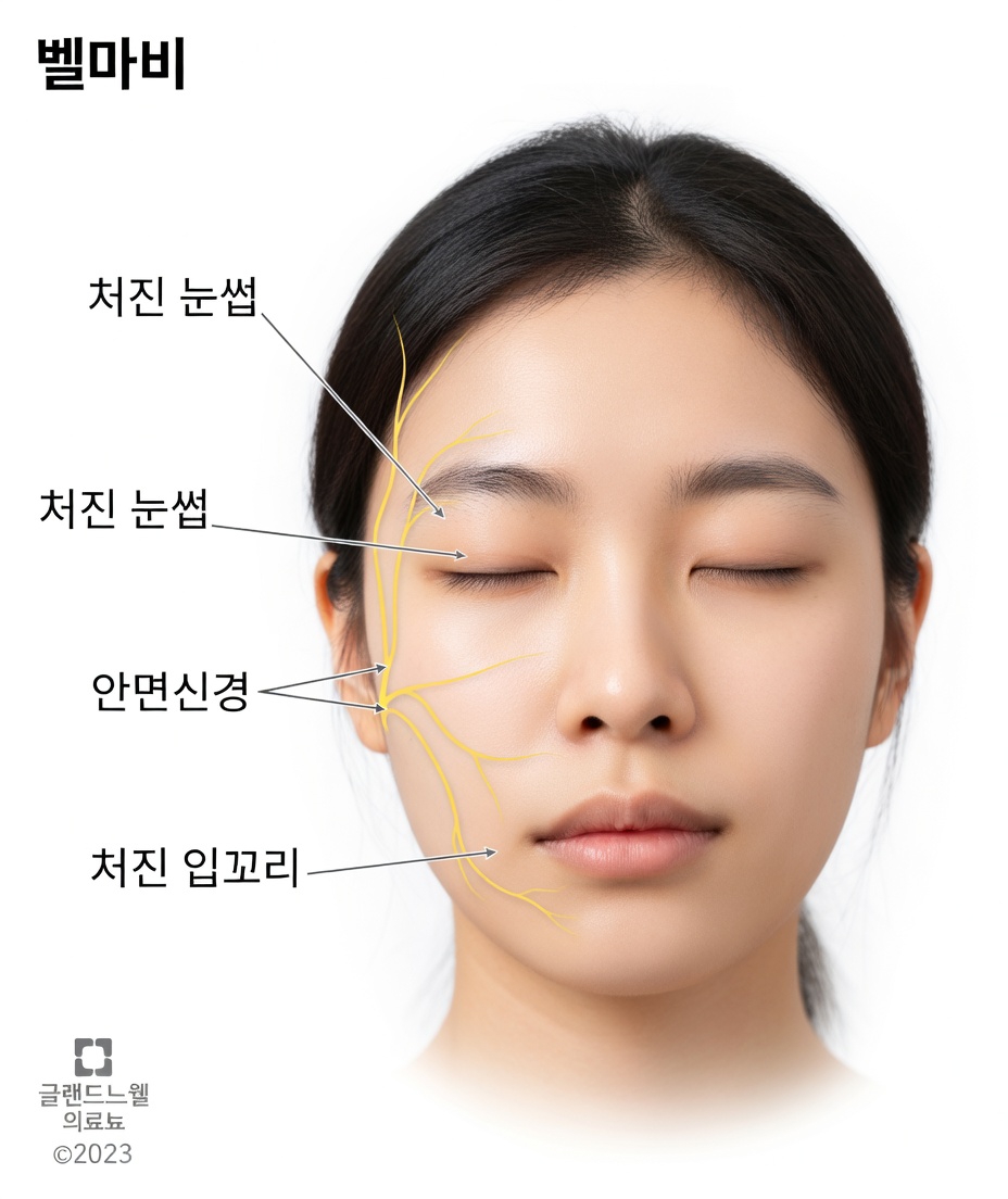 수면 중 나타나는 얼굴 변화가 뇌 건강 위험에 대해 시사할 수 있는 것