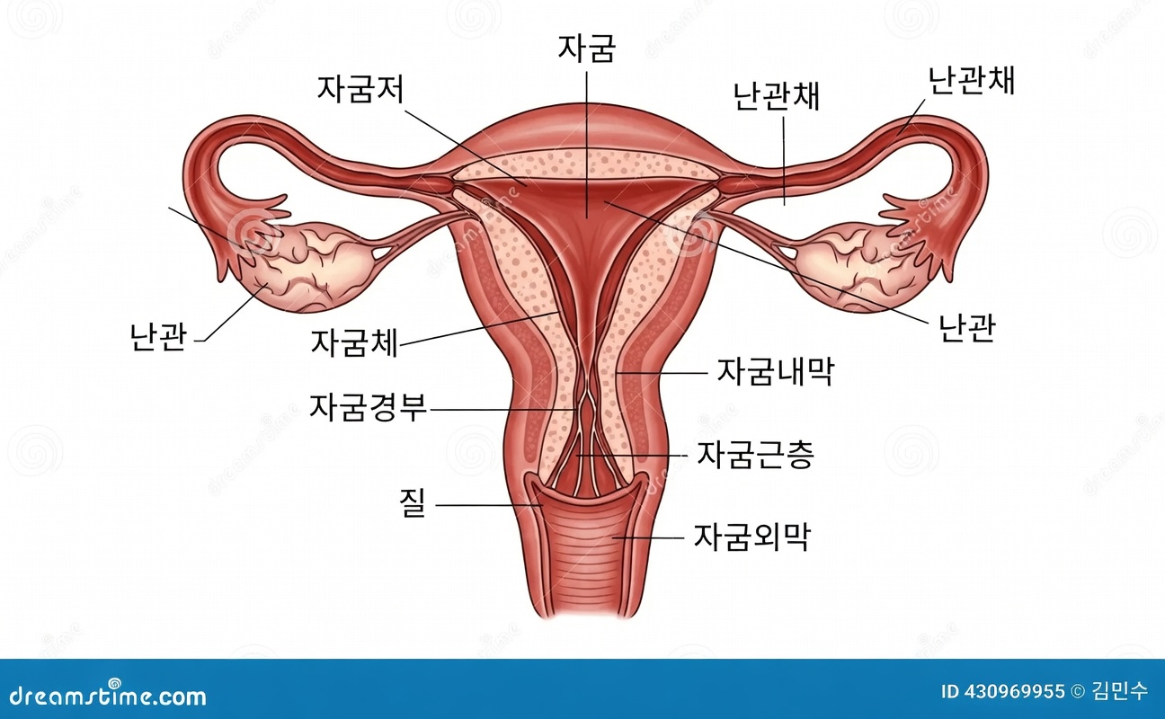 더 나은 건강 인식을 위해 모든 여성이 알아야 할 자궁내막증일 수 있는 7가지 징후