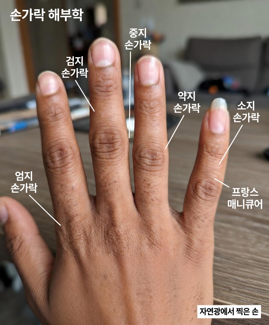 왜 어떤 남성들은 새끼손가락 손톱을 길게 기를까? 흔한 이유와 습관 살펴보기