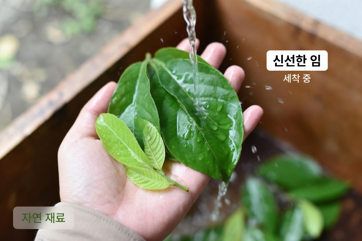 일상적인 눈 건강을 위한 구아바 잎과 과일 알아보기