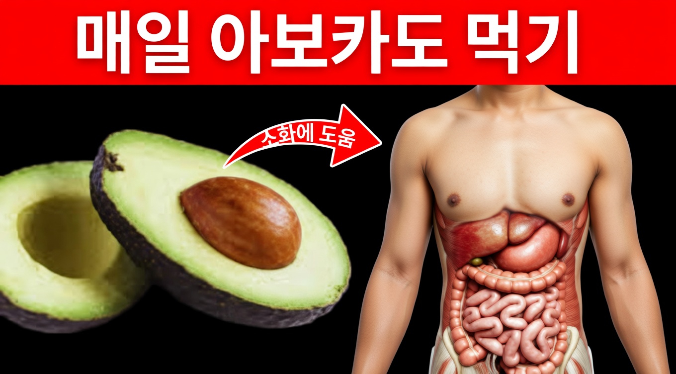 일상 건강 관리를 위해 아보카도 씨앗 차를 드셔보셨나요?
