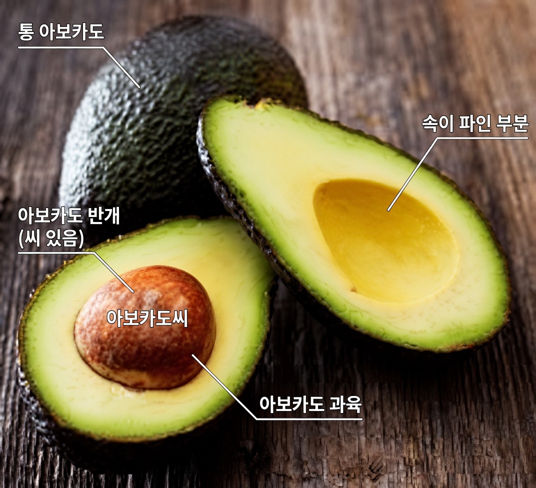 일상 건강 관리를 위해 아보카도 씨앗 차를 드셔보셨나요?