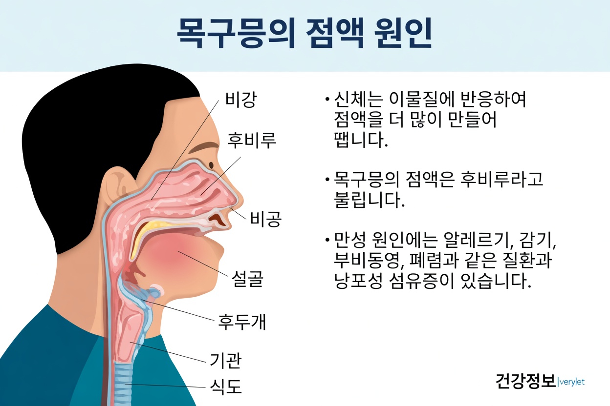 왜 점액과 가래는 그렇게 쉽게 쌓일까