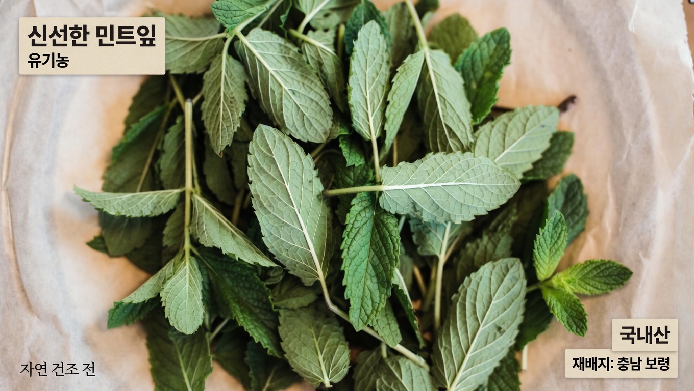 혈액순환 저하와 다리 정맥 건강 이해하기