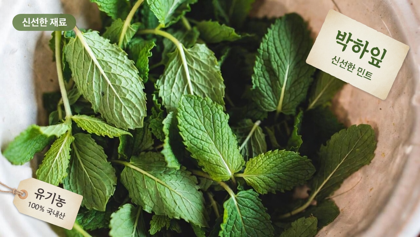 혈액순환 저하와 다리 정맥 건강 이해하기