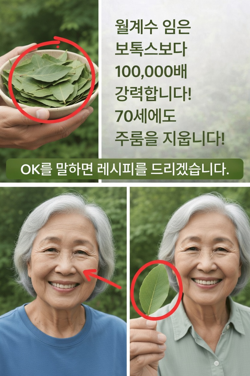 피부 건강을 위한 월계수잎: 전통적 활용 습관과 이 흔한 허브에 대해 과학이 시사하는 바 알아보기