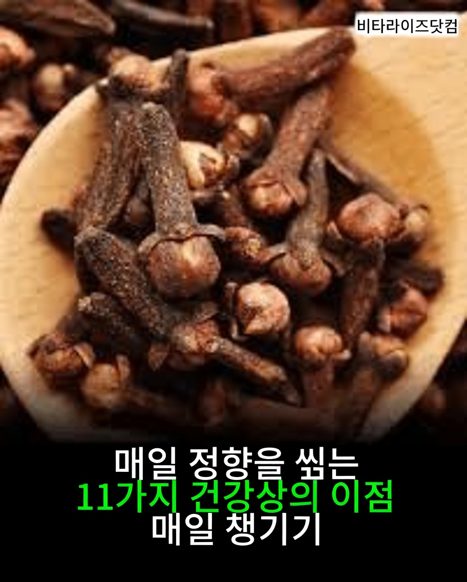 정향이란 무엇이며 왜 특별할까요?