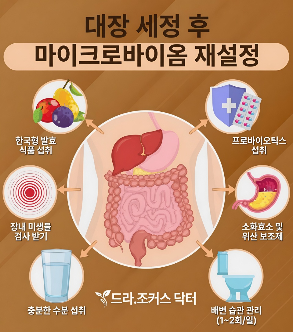대장 건강이 일상적인 웰빙에 중요한 이유
