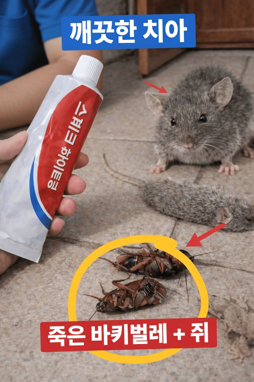 왜 해충은 집에 계속 다시 나타날까요?