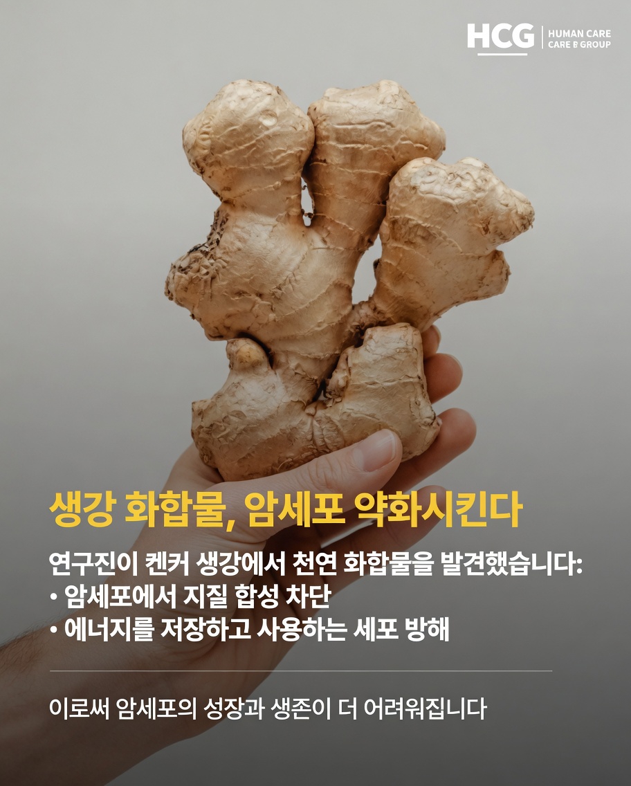 최신 연구는 실험실 연구에서 생강이 암 줄기세포와 잠재적으로 상호작용할 가능성에 대해 무엇을 밝혀냈는가?