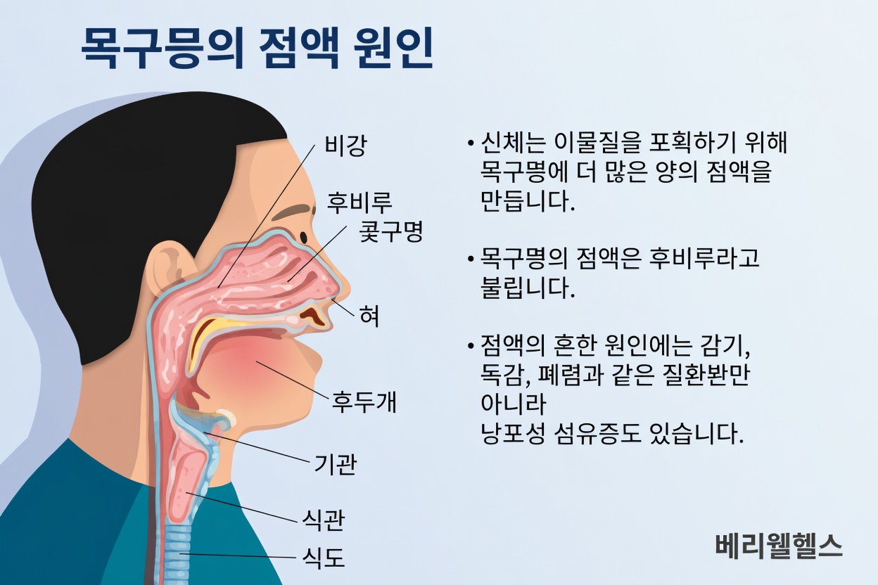 목에 가래가 계속 끼는 이유와 일상에서 알아두어야 할 요인들