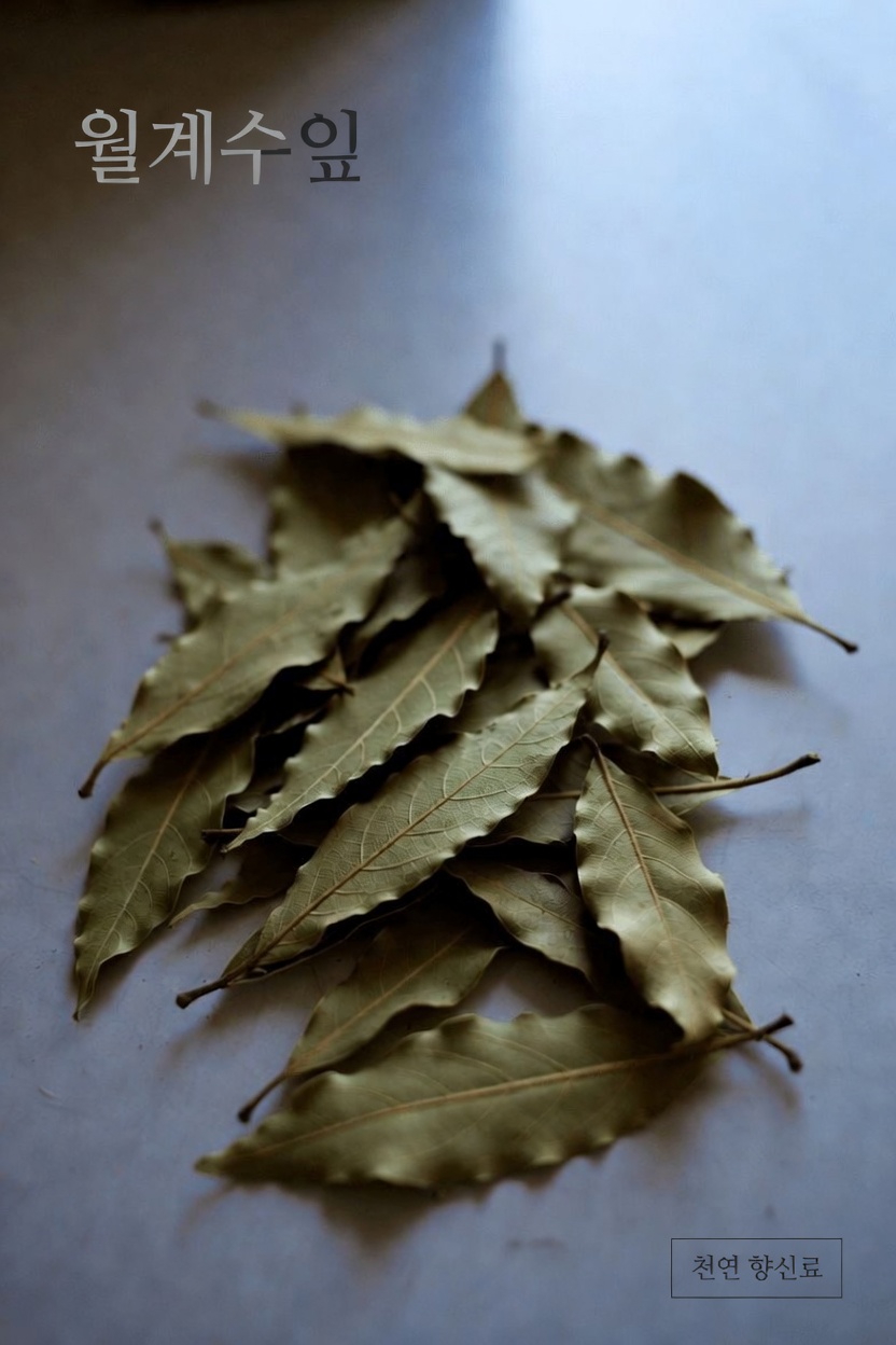 건강한 피부 표현을 지원하는 월계수잎과 아마씨 오일에 대해 알아야 할 사항