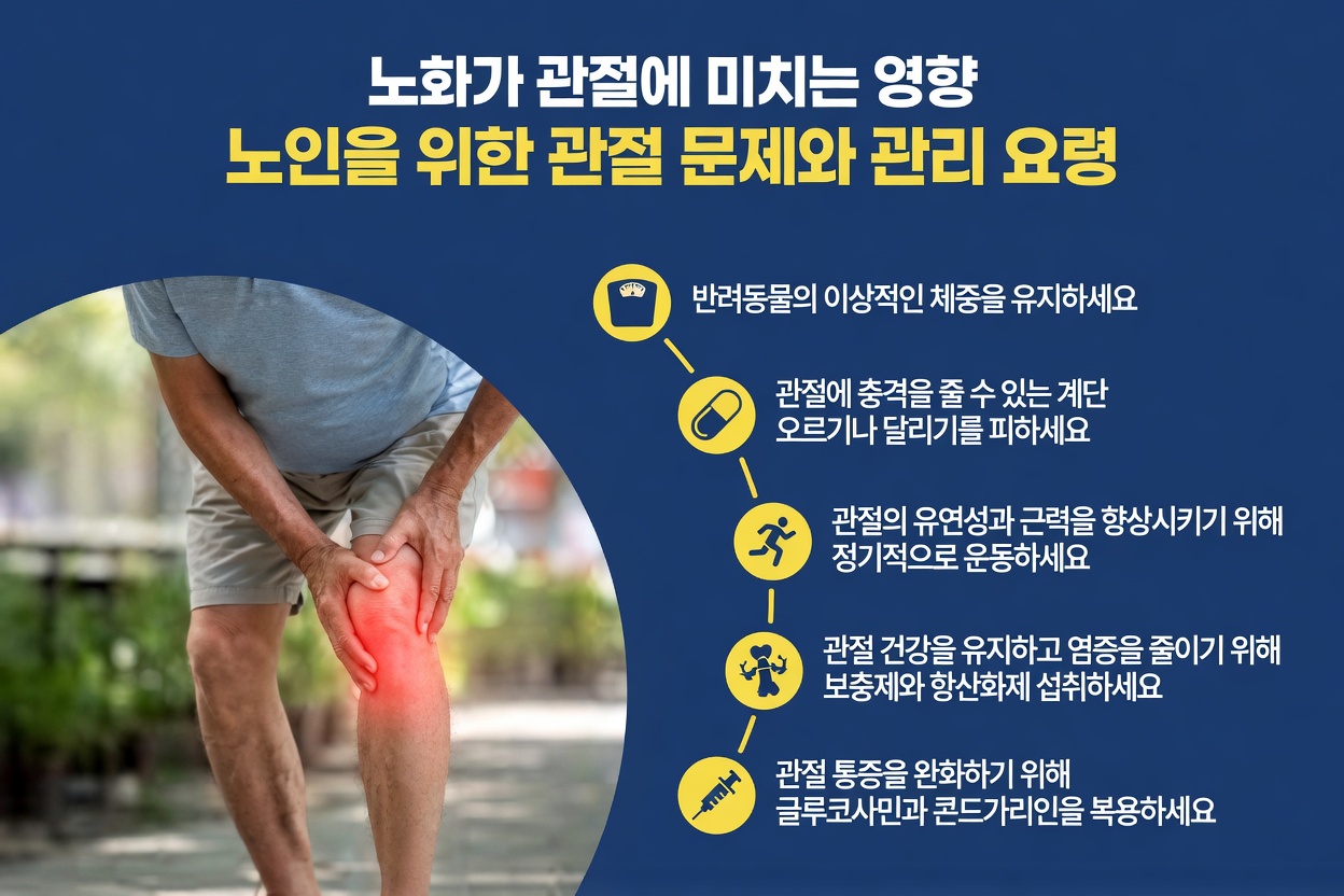 나이가 들수록 관절의 편안함이 중요한 이유