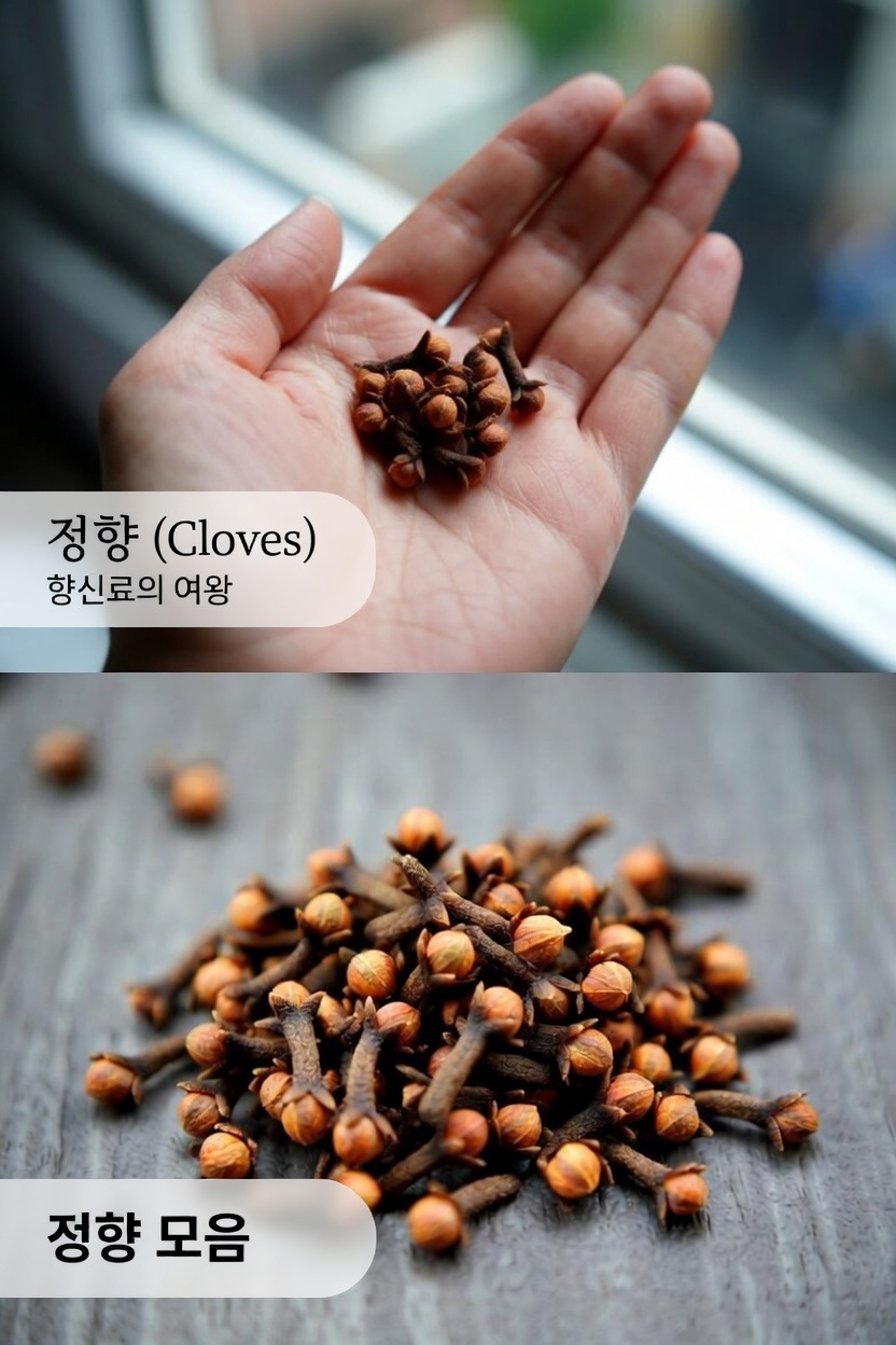 혈당 조절을 위한 건강한 생활습관의 일부로서 정향을 씹는 것의 잠재적 이점 탐구