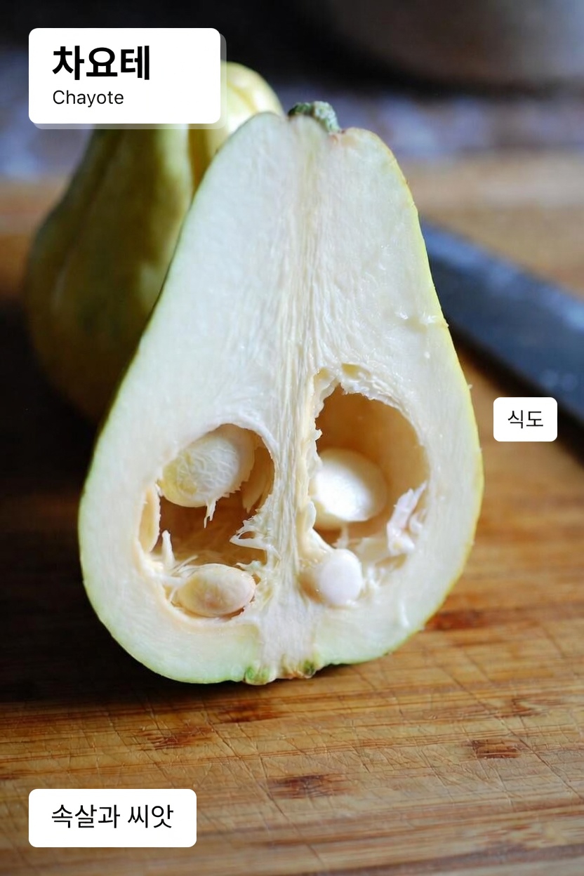 일상 식단에서 차요테 스쿼시의 영양학적 이점 탐구