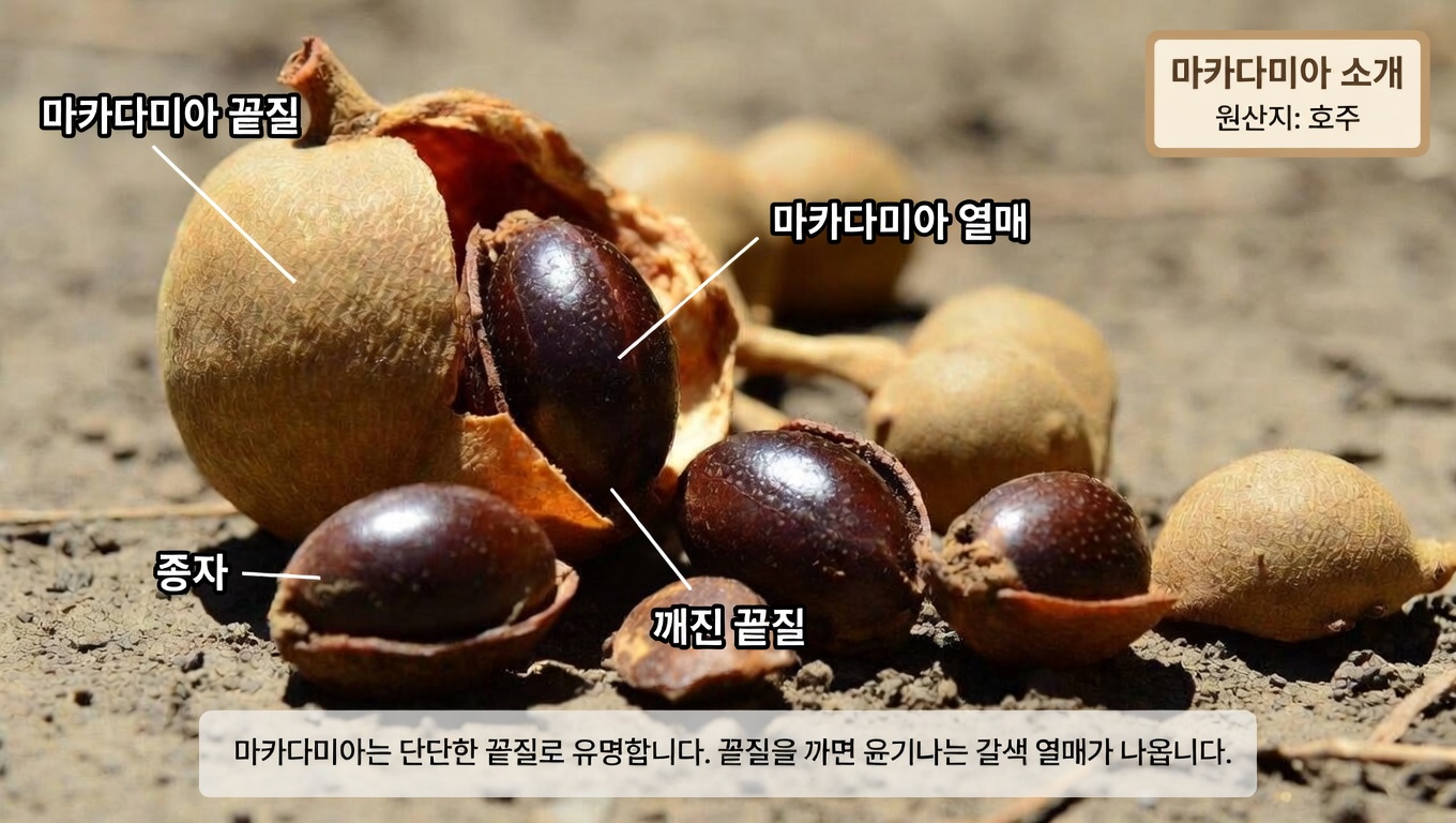 타마린드 씨앗이 우리 몸이 미세플라스틱에 대처하는 데 도움이 될 수 있을까? 초기 연구가 보여주는 것