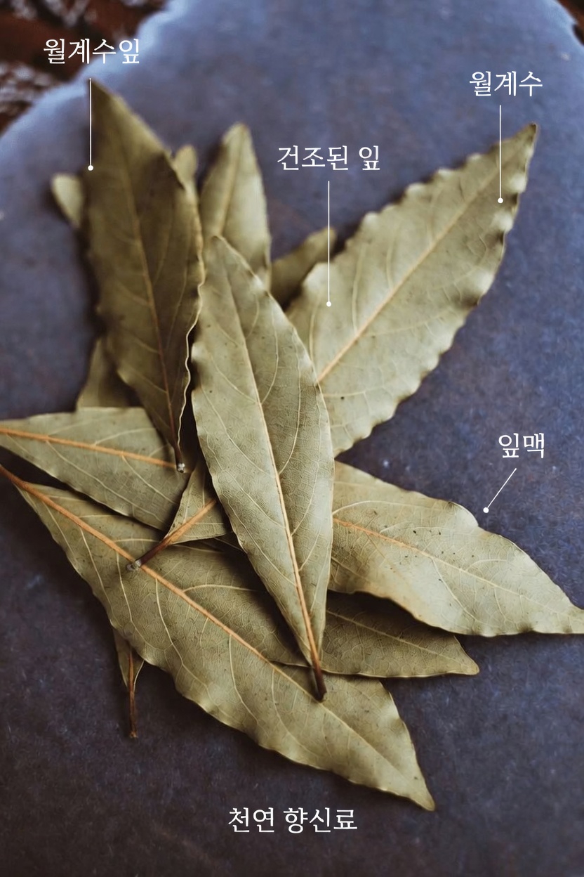 월계수잎: 이 흔한 주방 허브의 잠재적인 건강 효능 살펴보기