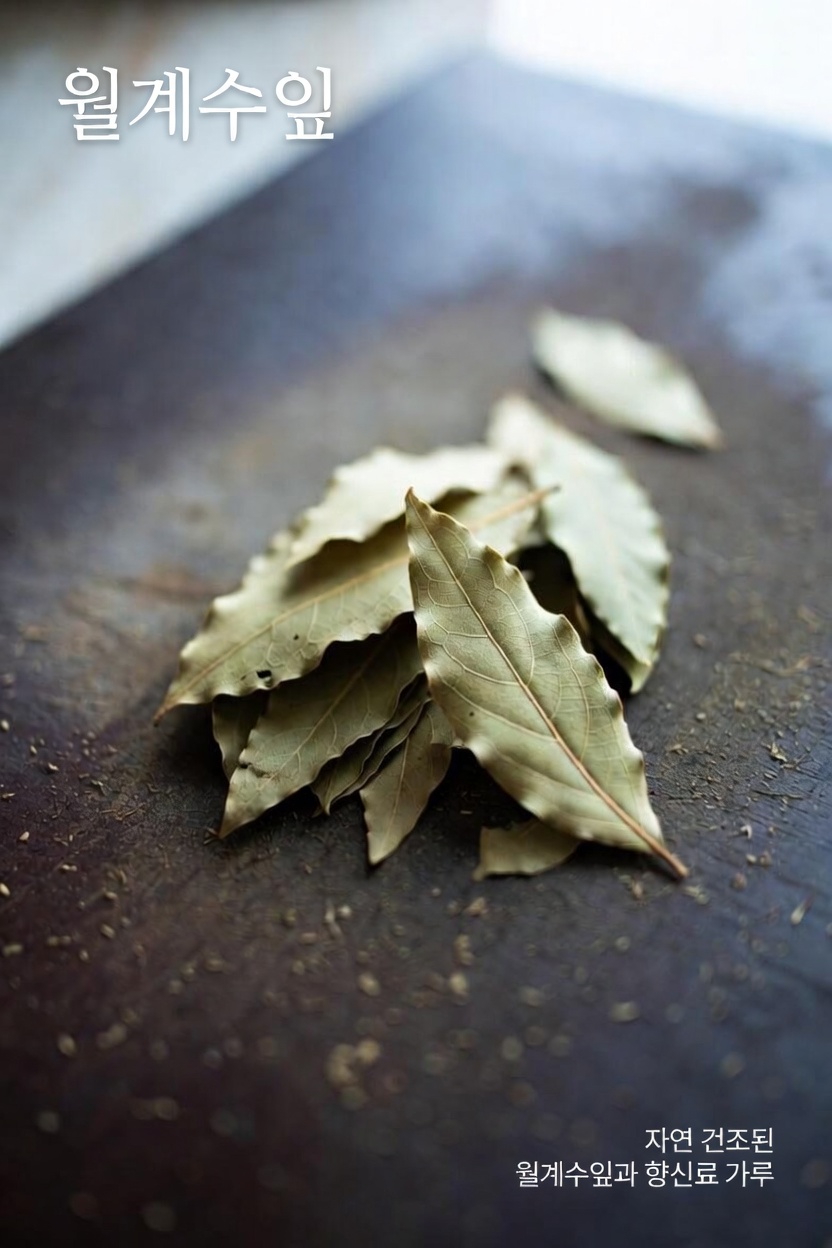 더 건강해 보이는 피부를 위해 월계수 잎을 매일 스킨케어 습관에 전통적인 방식으로 활용하는 방법 알아보기