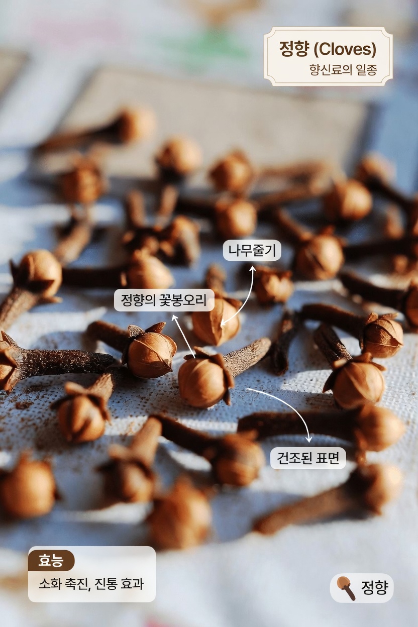 하루에 정향 2개만 씹어보세요 — 어떤 일이 일어나는지 보고 깜짝 놀랄 겁니다