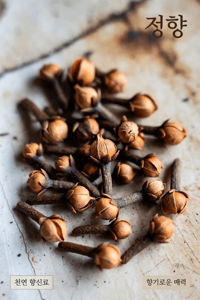 하루에 정향 2개만 씹어보세요 — 어떤 일이 일어나는지 보고 깜짝 놀랄 겁니다