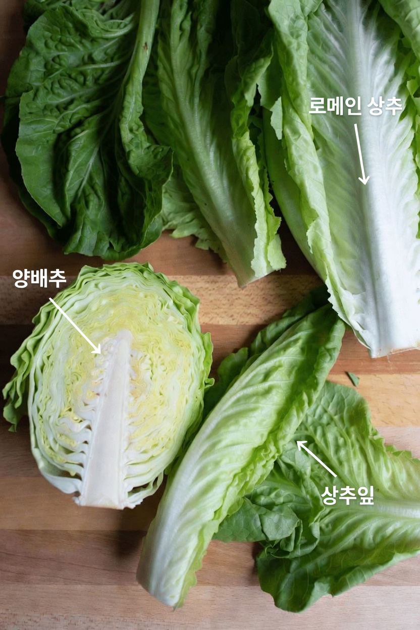 신장에 좋은 식단에 녹색 채소를 추가하는 9가지 똑똑한 방법