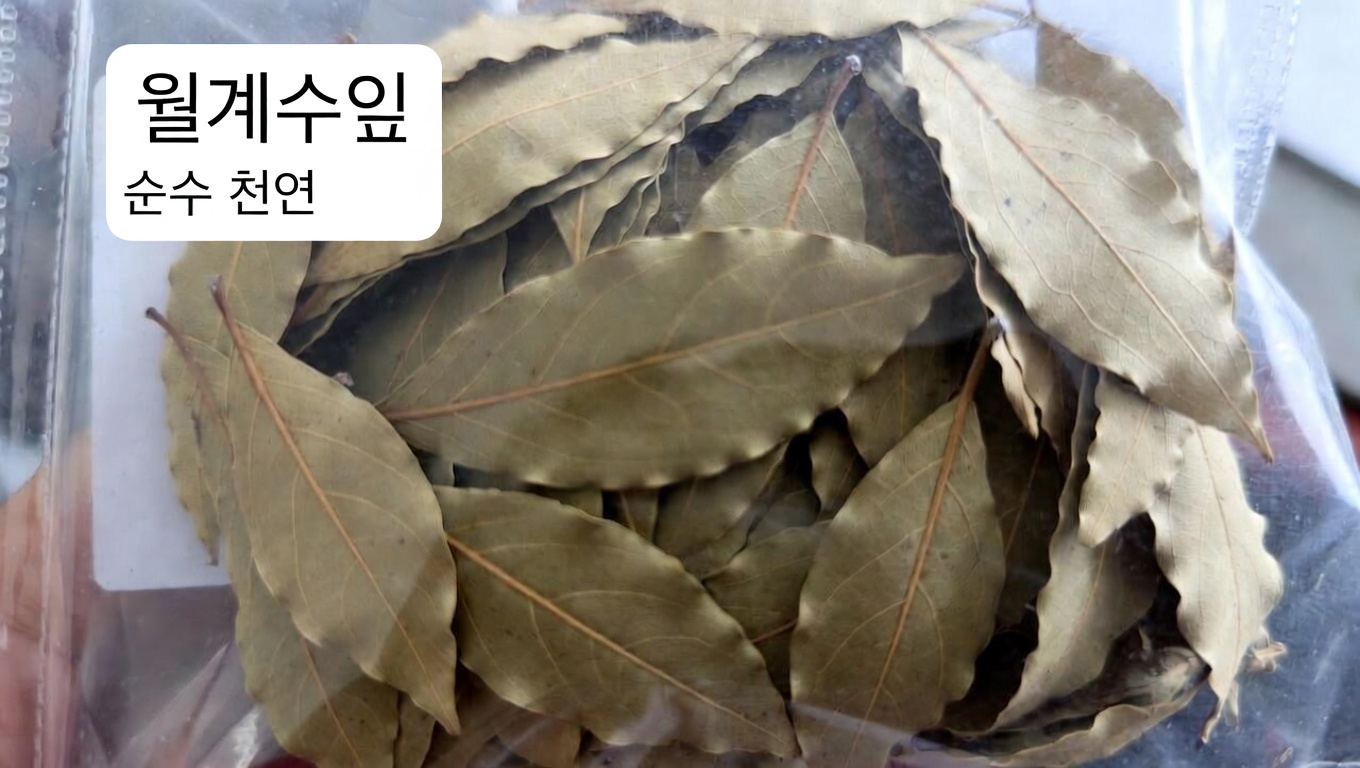 신장 건강에 월계수잎과 정향이 보조적으로 도움이 될 가능성 탐구: 간단한 허브 우림차 가이드