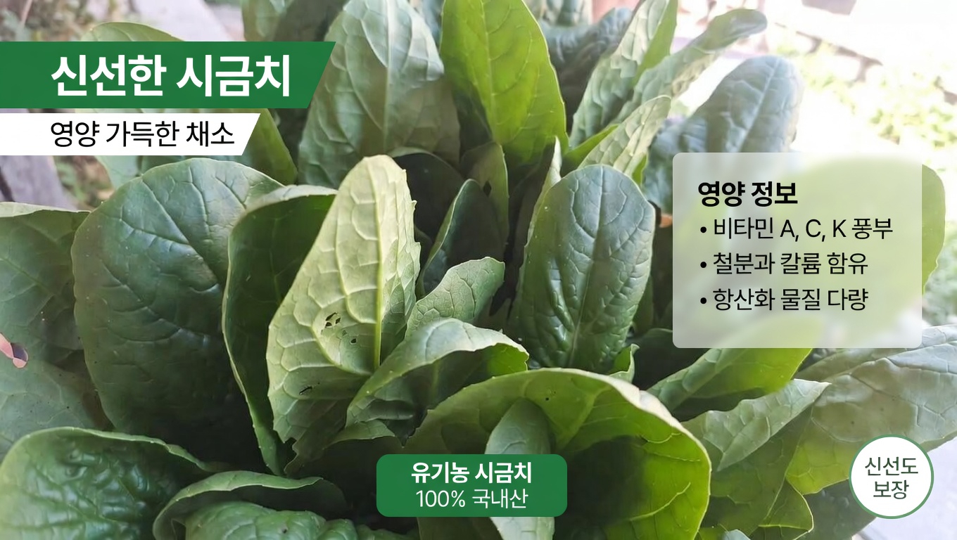 비타민 K는 우리 몸에서 어떤 역할을 할까?