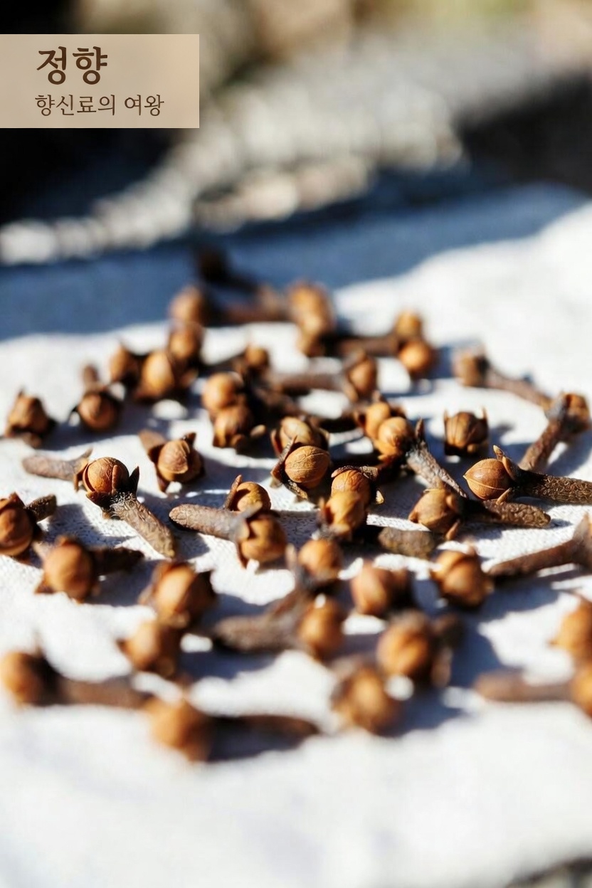 60세 이후: 7일 동안 하루에 정향 2개를 먹으면 무슨 일이 일어날까?