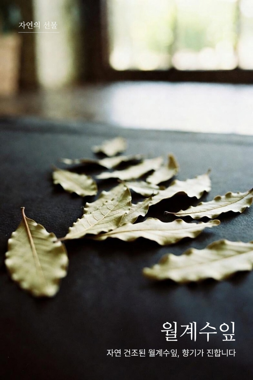 일상생활에서 월계수 잎의 잠재적인 건강 효능 탐구