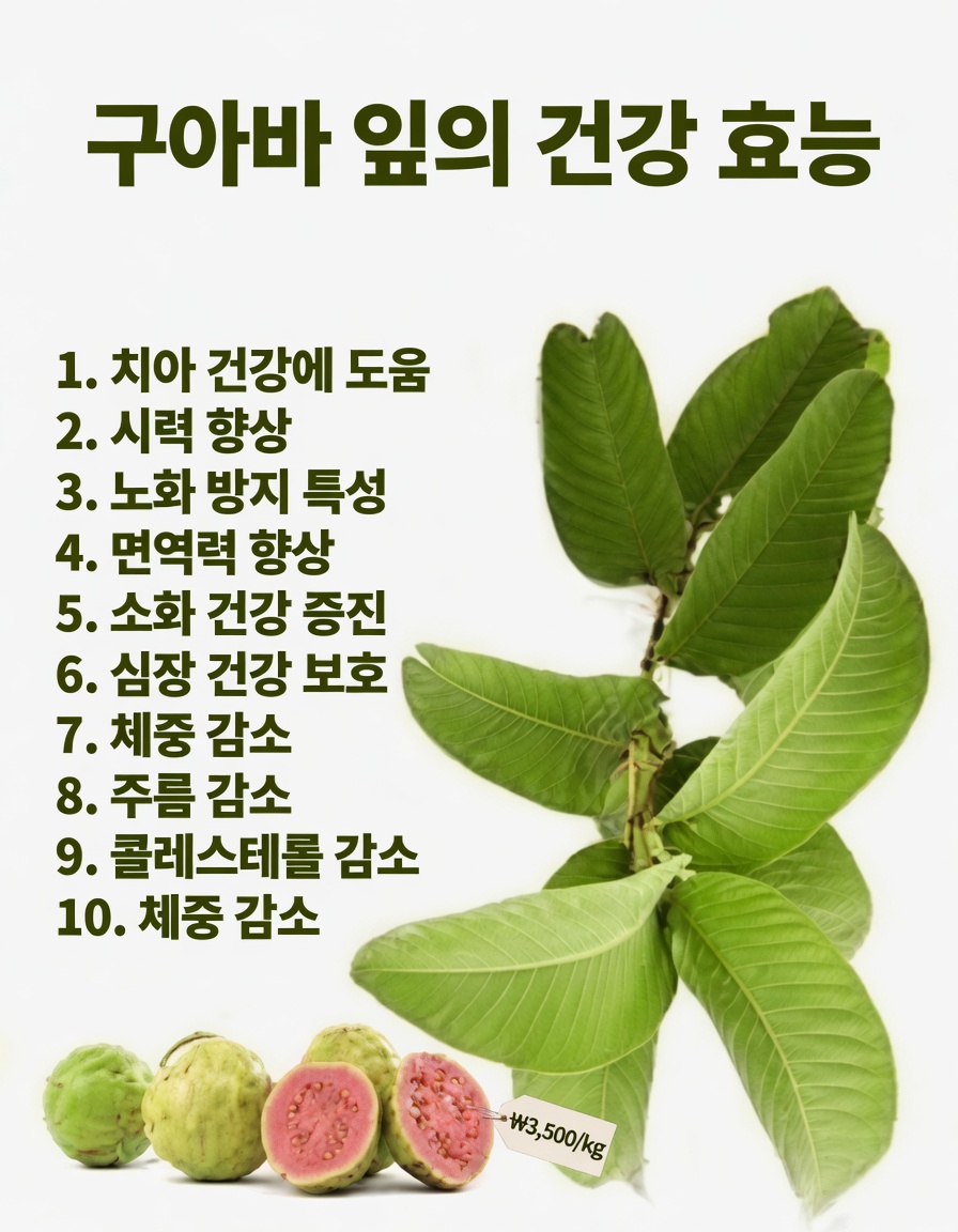 더 나은 구강 관리 습관을 위해 구아바 잎을 활용하는 간단한 방법 알아보기