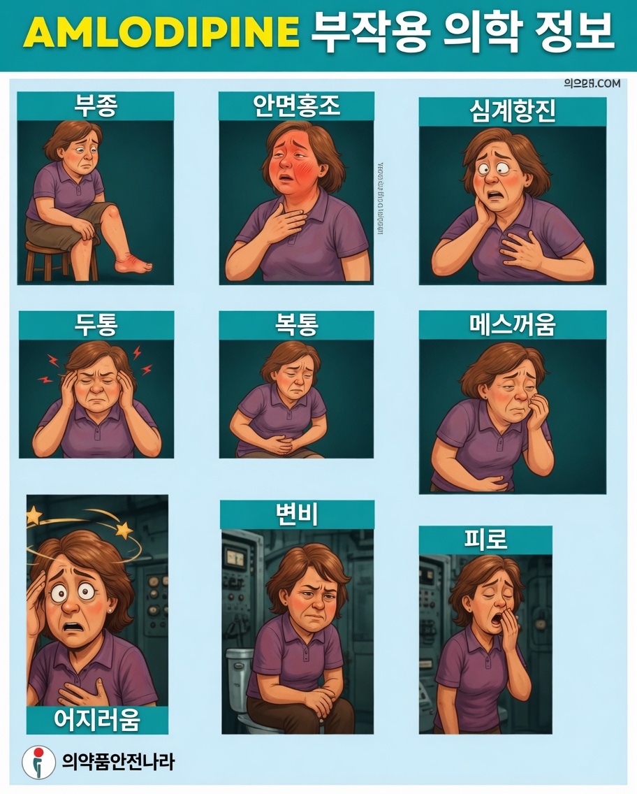 반드시 알아야 할 암로디핀의 흔한 부작용 12가지(그리고 이에 대처하는 방법)