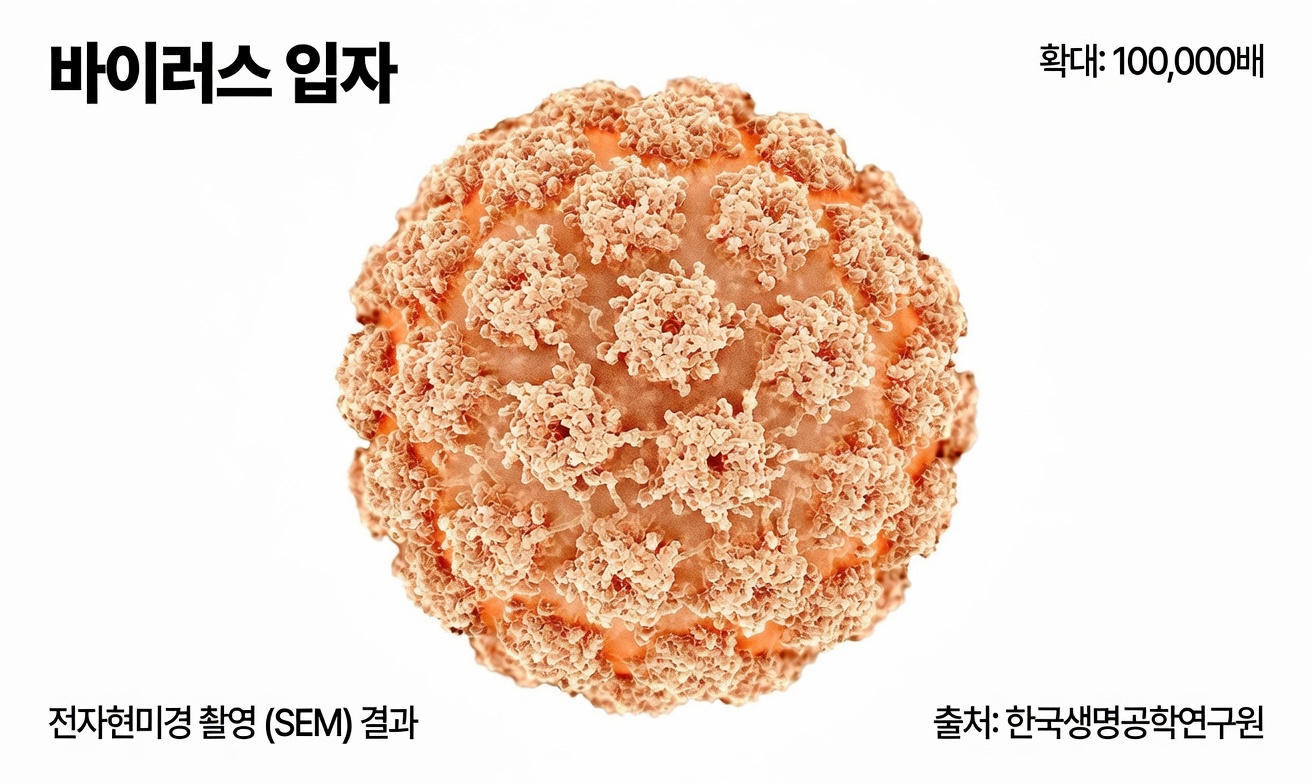 모든 여성이 반드시 알고 절대 무시해서는 안 되는 자궁경부암의 치명적인 증상들