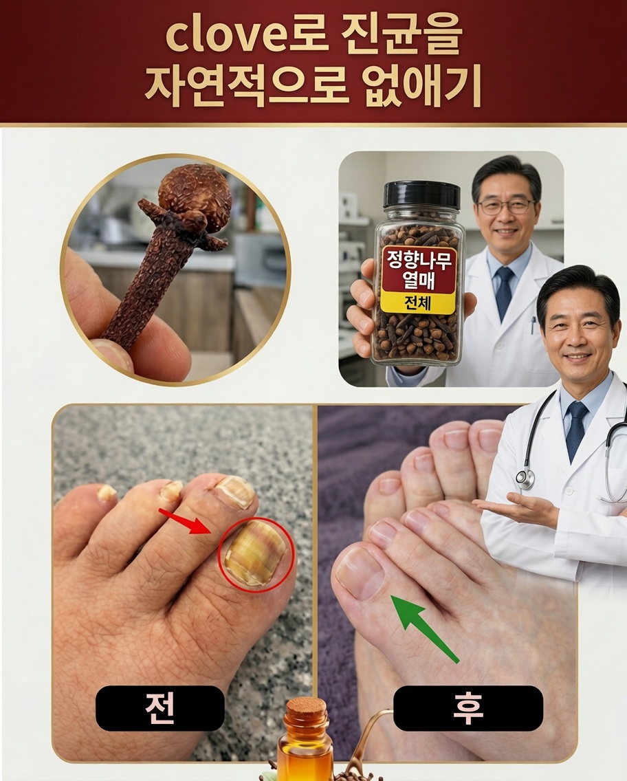 ๐ฟ ์ ํฅ: ๊ฑด๊ฐ์ ๋๋ผ์ด ํจ๋ฅ์ ์ง๋ ๊ฐ๋ ฅํ ์ฒ์ฐ ํฅ์ ๋ฃ