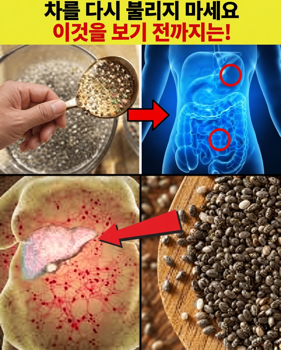 치아씨드를 불릴 때 저지르는 5가지 치명적인 실수와 더 나은 결과를 위한 예방법