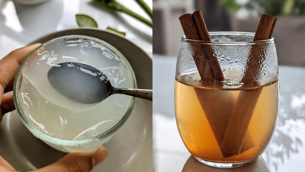 알로에 베라와 계피: 웰빙과 눈 건강 지원을 위한 천연 성분 탐구