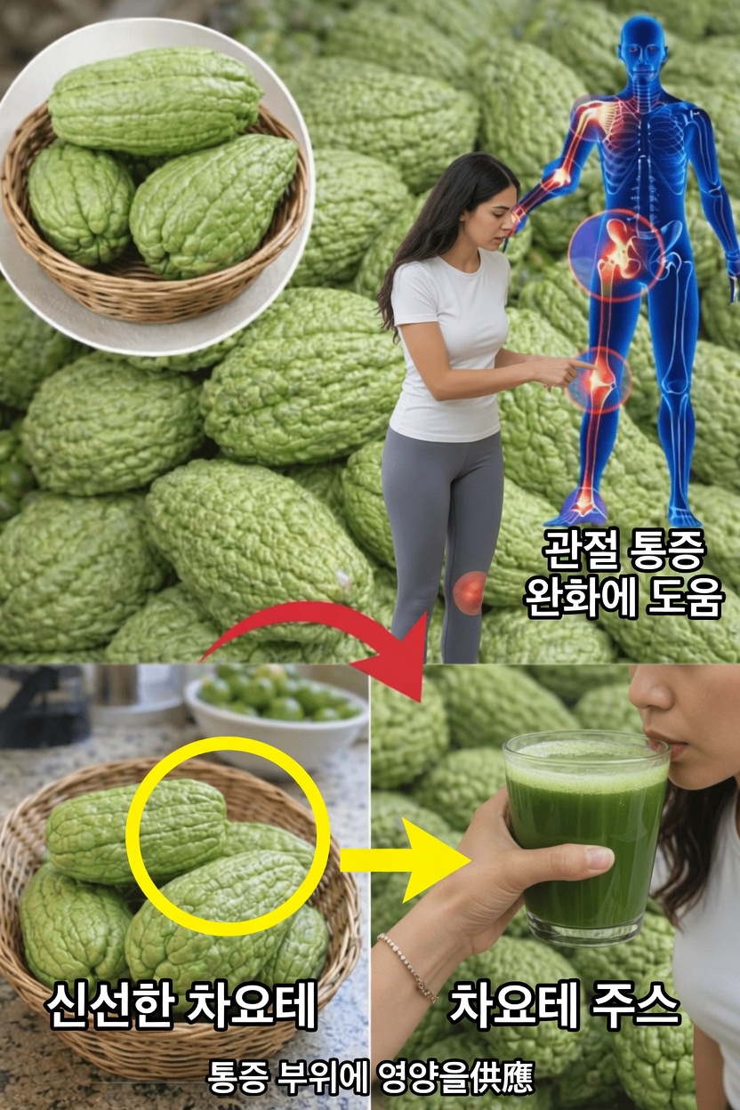 차요테 호박: 일상적인 건강과 심장 건강 지원을 위한 식단의 간단한 추가 요소