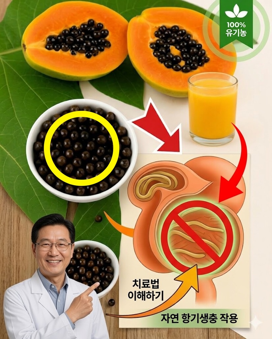 파파야 잎의 9가지 효능과 효과적으로 사용하는 방법