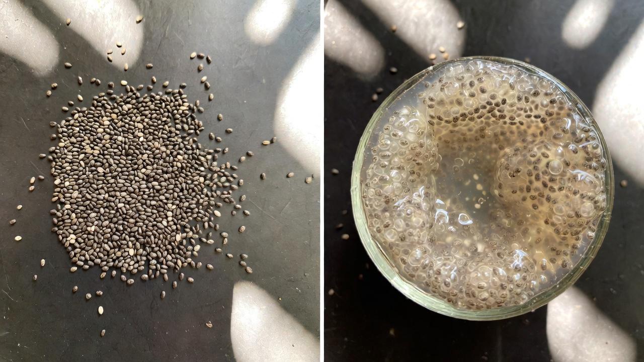 대장 건강이 일상의 편안함에 중요한 이유