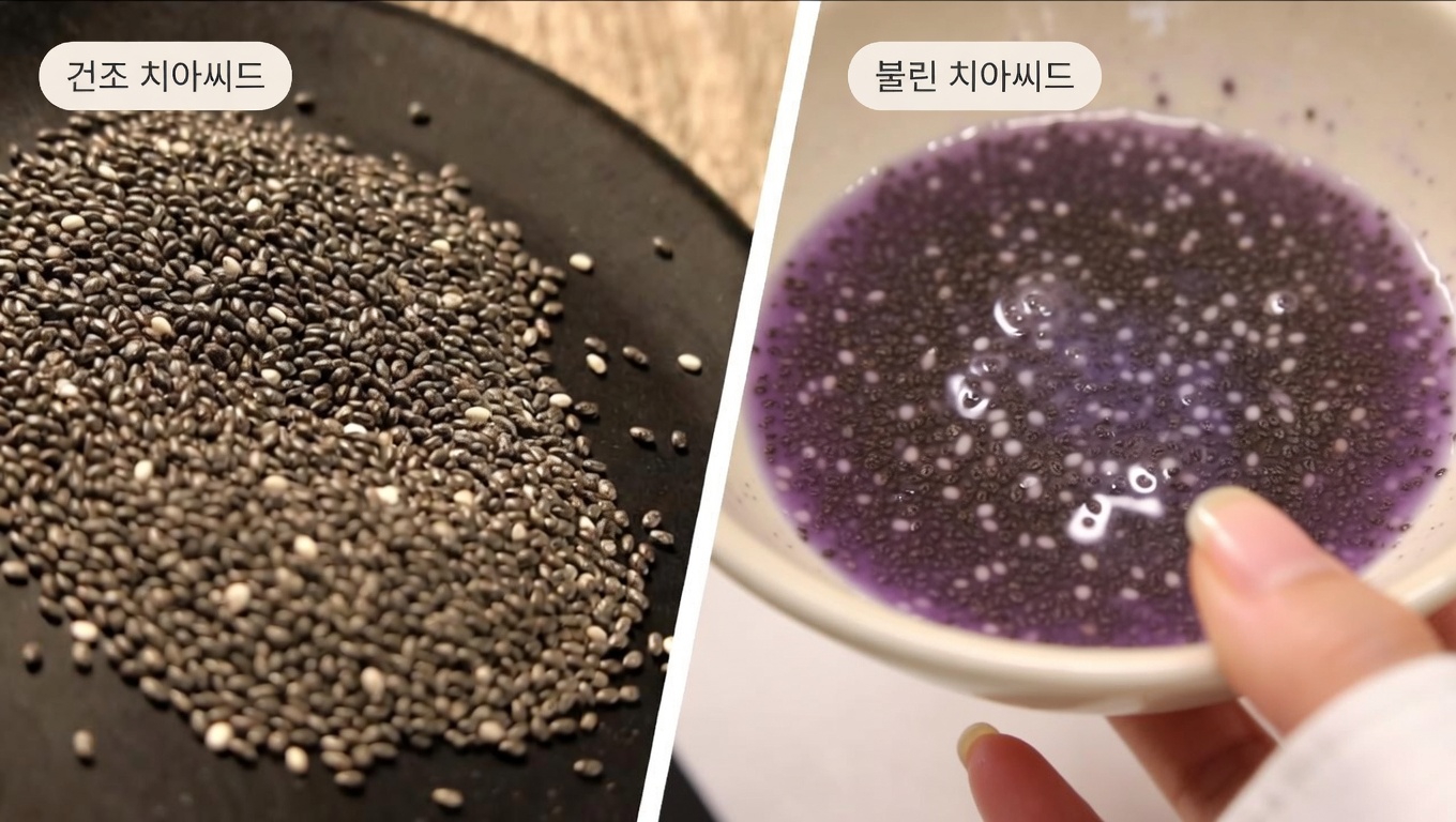 대장 건강이 일상의 편안함에 중요한 이유