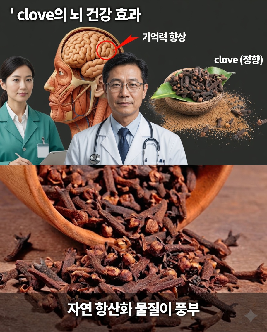 정향을 씹어 먹기: 효능, 주의사항, 그리고 제대로 즐기는 레시피