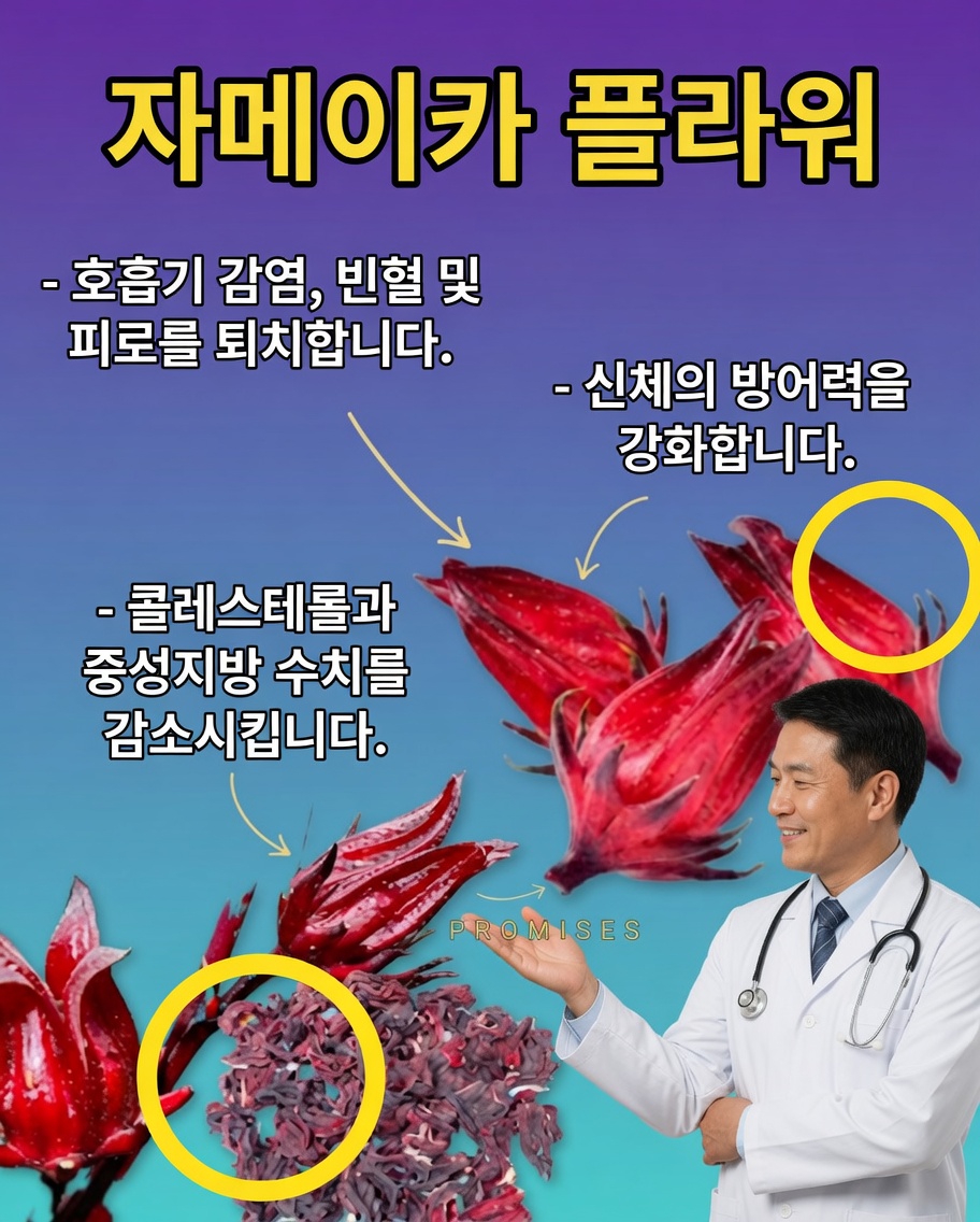 히비스커스 꽃: 심장, 혈액, 면역 방어력을 위한 천연 엘릭서