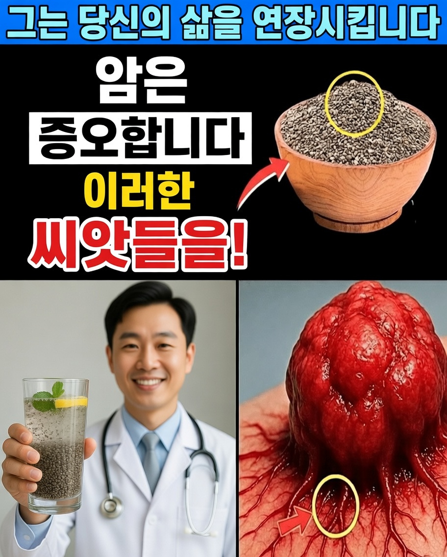 50세 이후 암에 대한 몸의 방어력을 자연스럽게 도울 수 있는 일상 속 6가지 씨앗