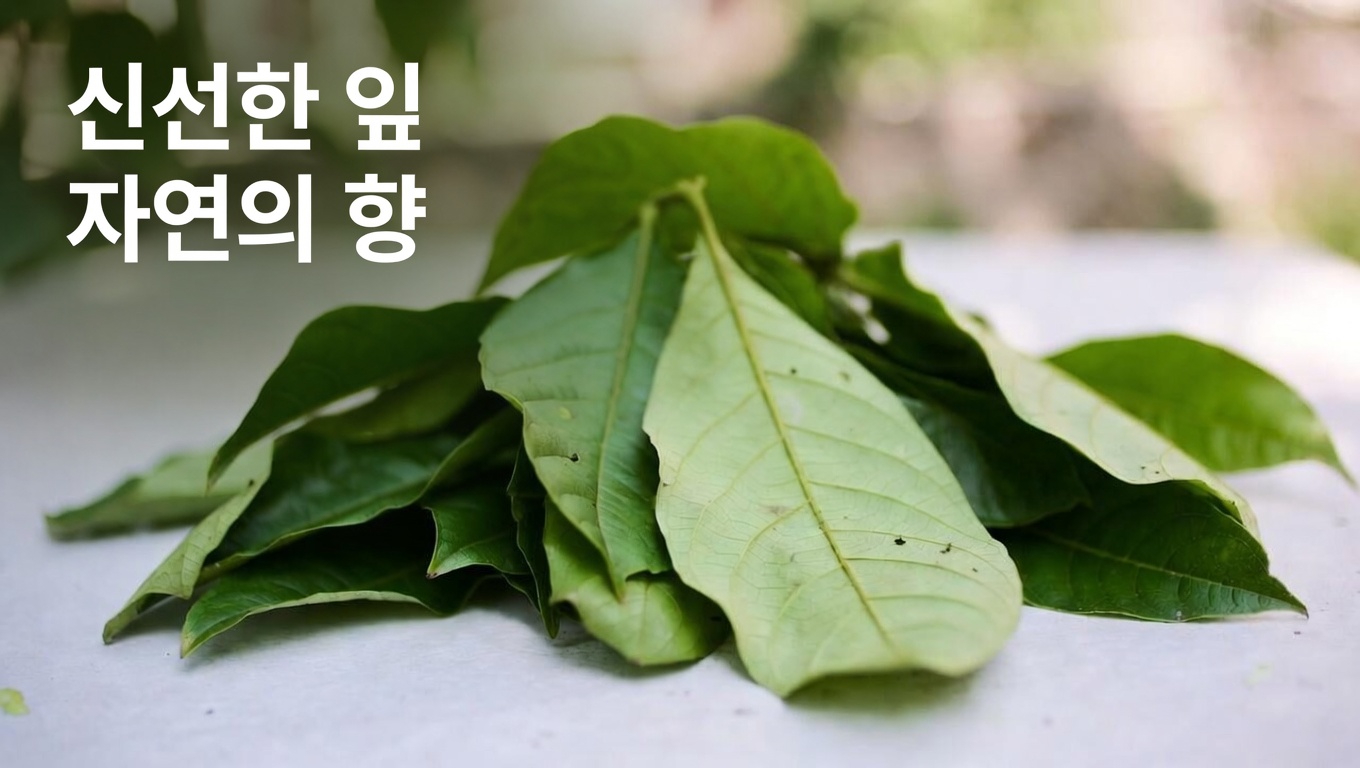 간단한 아침 습관 발견하기: 구아바잎차와 일상적인 혈당 관리 지원에서의 잠재적 역할