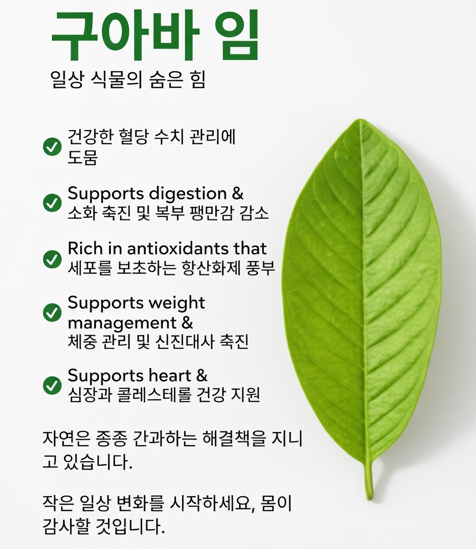 간단한 아침 습관 발견하기: 구아바잎차와 일상적인 혈당 관리 지원에서의 잠재적 역할