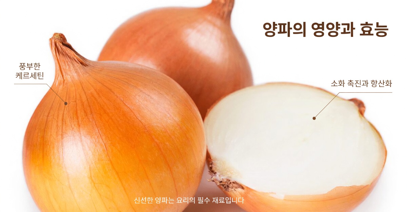 시니어 여러분, 오늘 밤 양파 1개를 썰고 이 60초 만에 만드는 묘약을 홀짝이세요. 그러면 혈당이 28포인트 떨어지고, 동맥이 반짝이게 깨끗해지며, 자는 동안 심장까지 지켜줍니다.